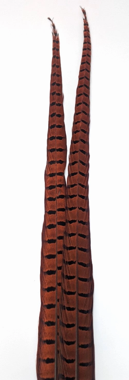 Nature's Sprit Ringneck Pheasant Center Tails