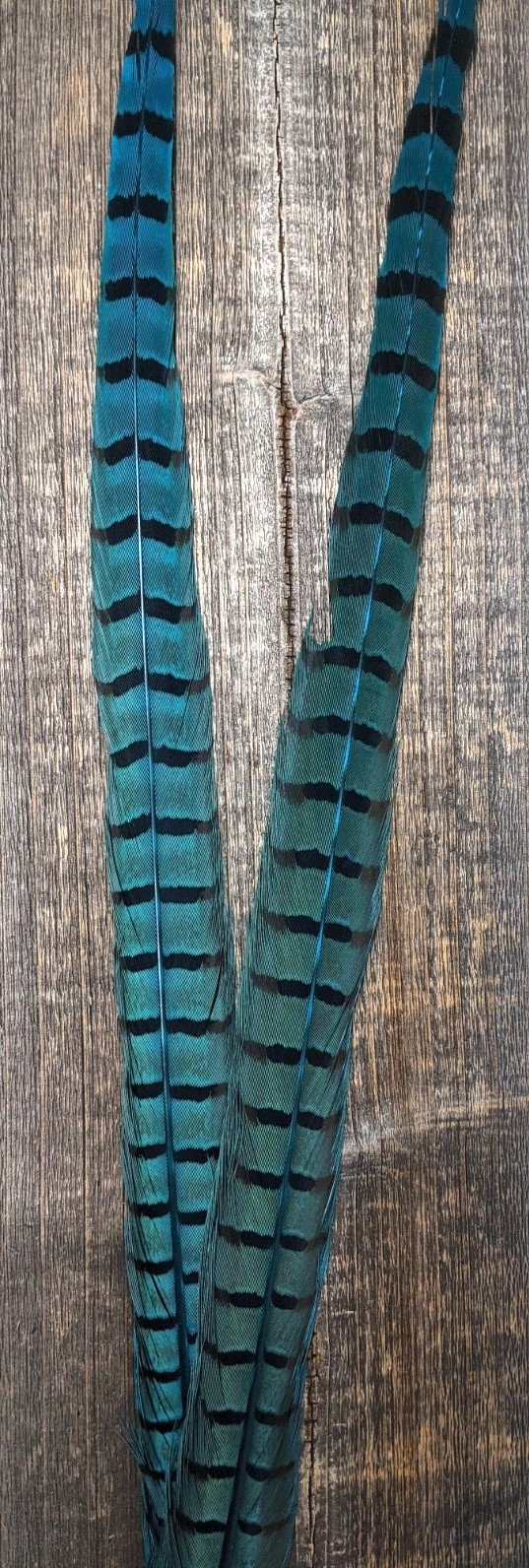Nature's Sprit Ringneck Pheasant Center Tails
