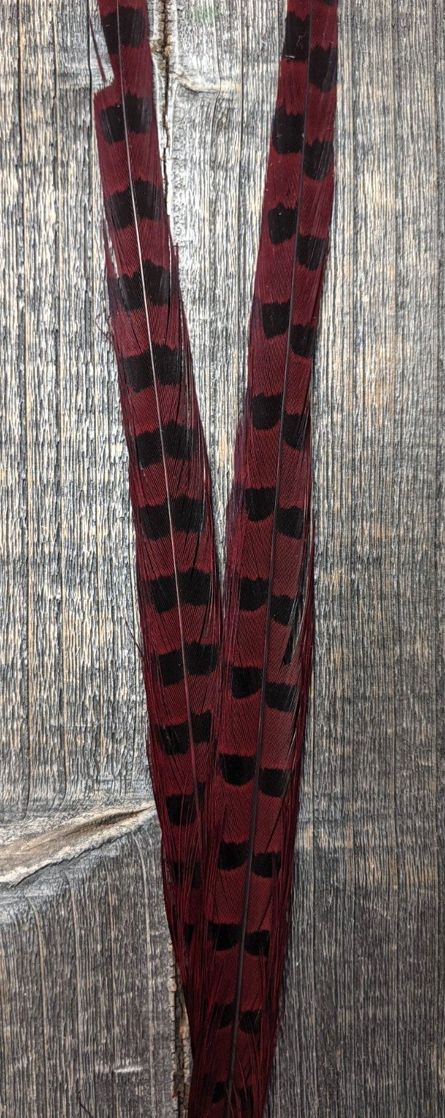 Nature's Sprit Ringneck Pheasant Center Tails