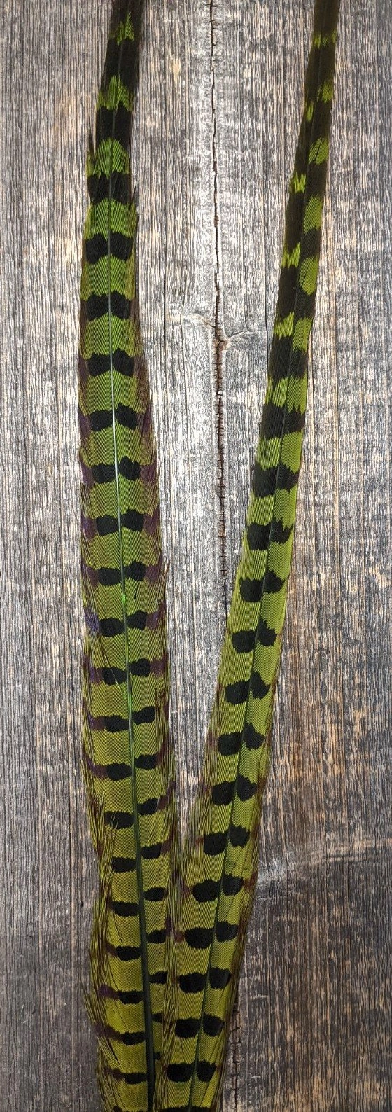 Nature's Sprit Ringneck Pheasant Center Tails