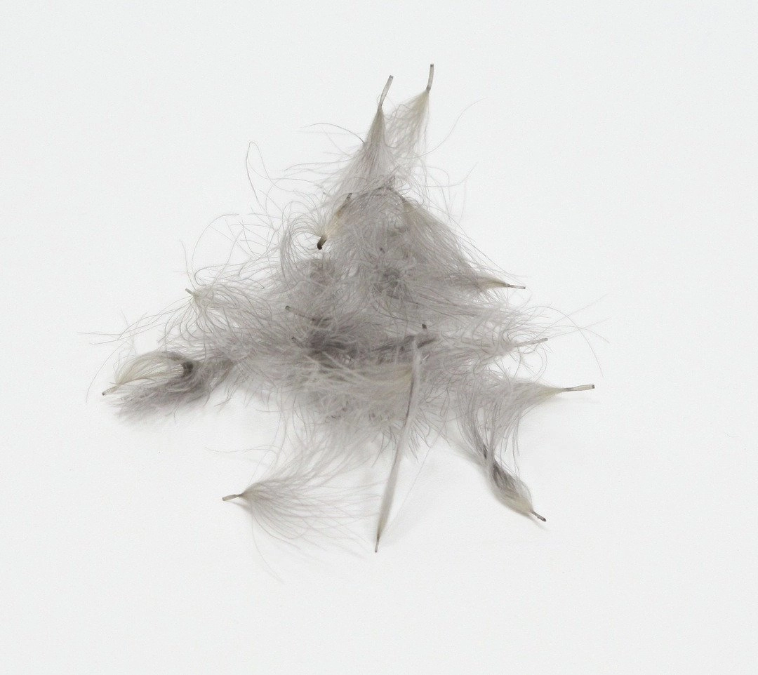 Natures Spirit Cul de Canard CDC Tufts