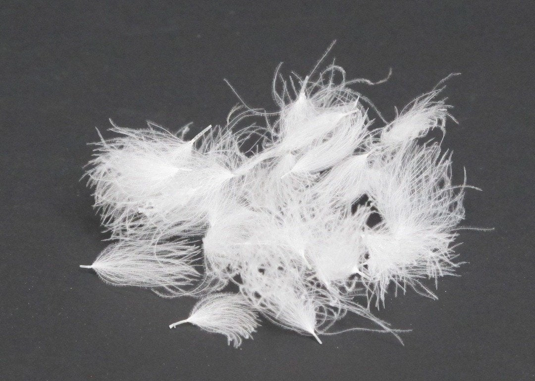Natures Spirit Cul de Canard CDC Tufts