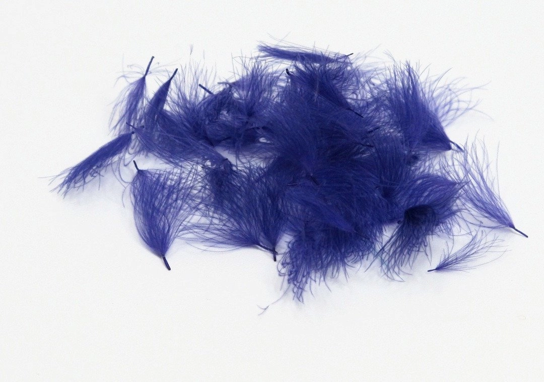 Natures Spirit Cul de Canard CDC Tufts