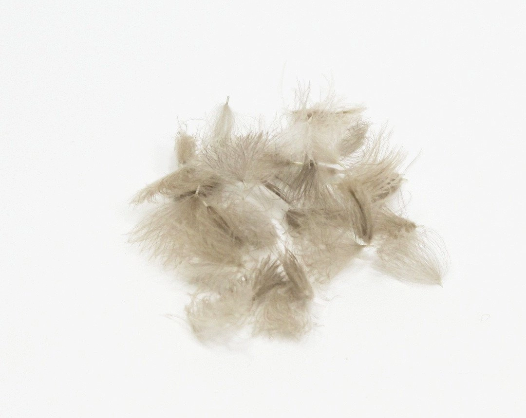 Natures Spirit Cul de Canard CDC Tufts