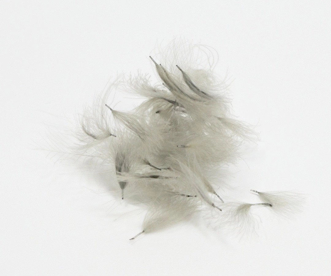 Natures Spirit Cul de Canard CDC Tufts