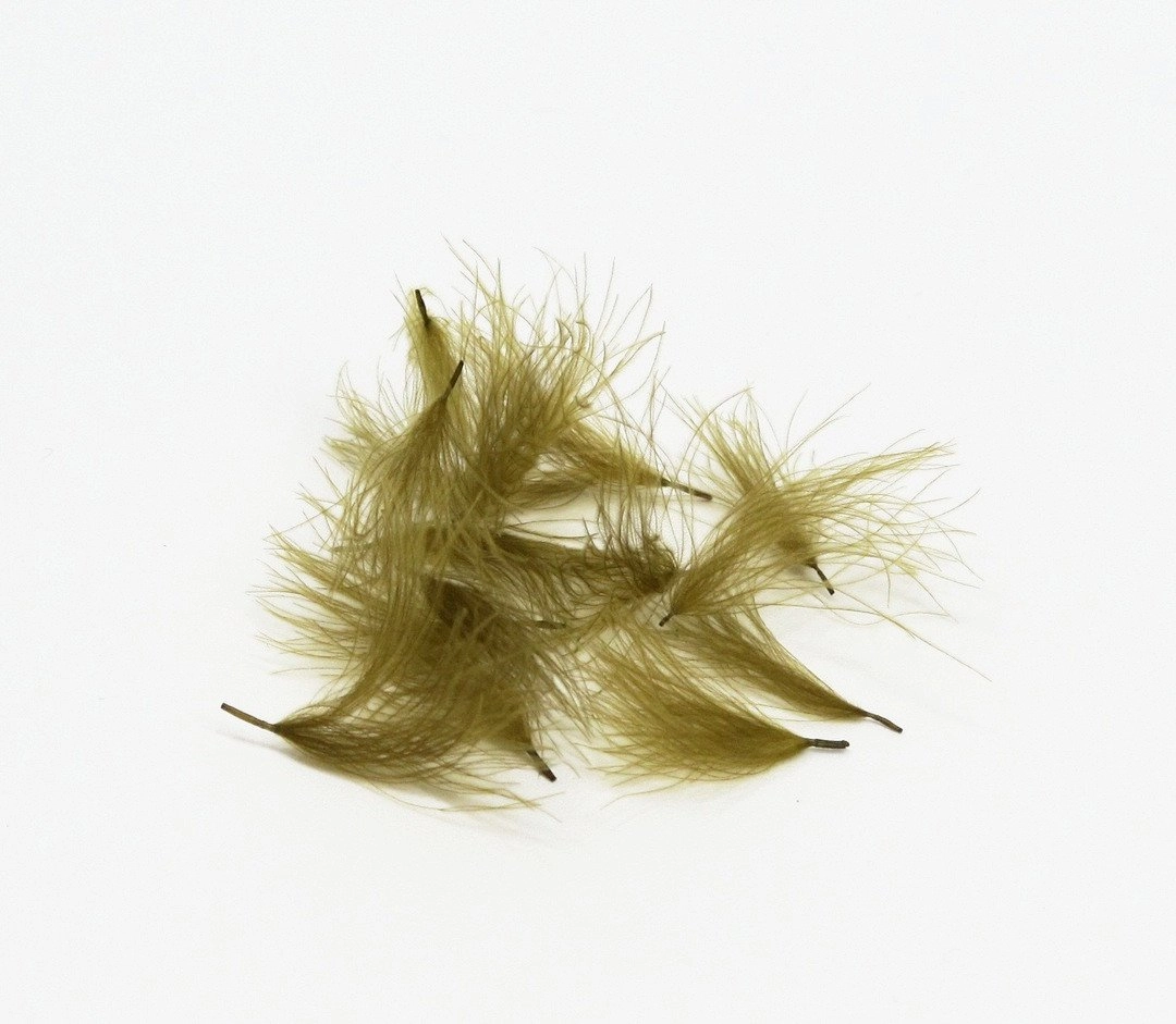 Natures Spirit Cul de Canard CDC Tufts