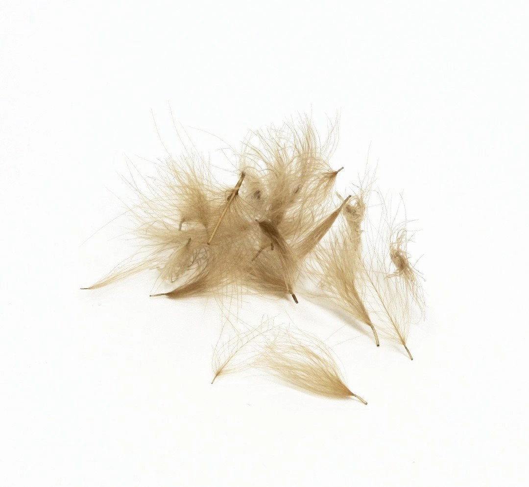 Natures Spirit Cul de Canard CDC Tufts