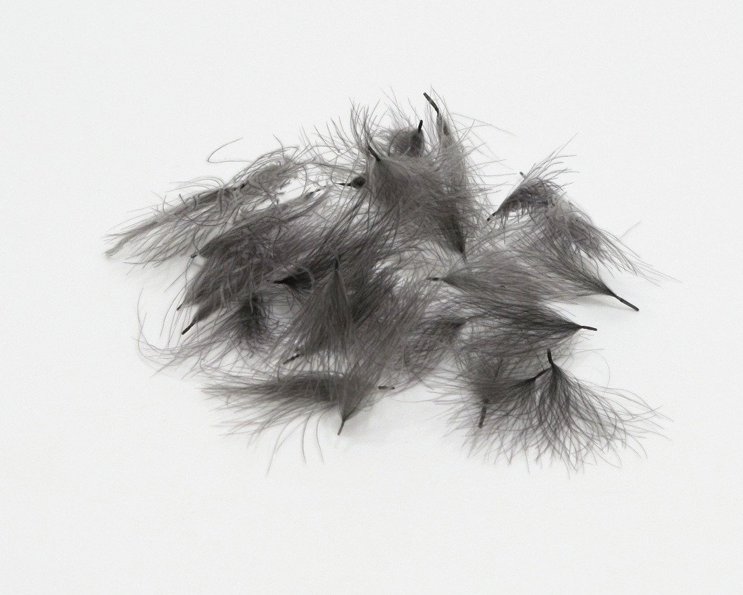 Natures Spirit Cul de Canard CDC Tufts