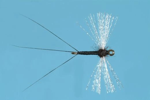 ORGANZA TRICO SPINNER