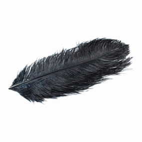 Ostrich Plume