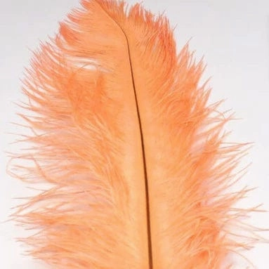 Ostrich Plume
