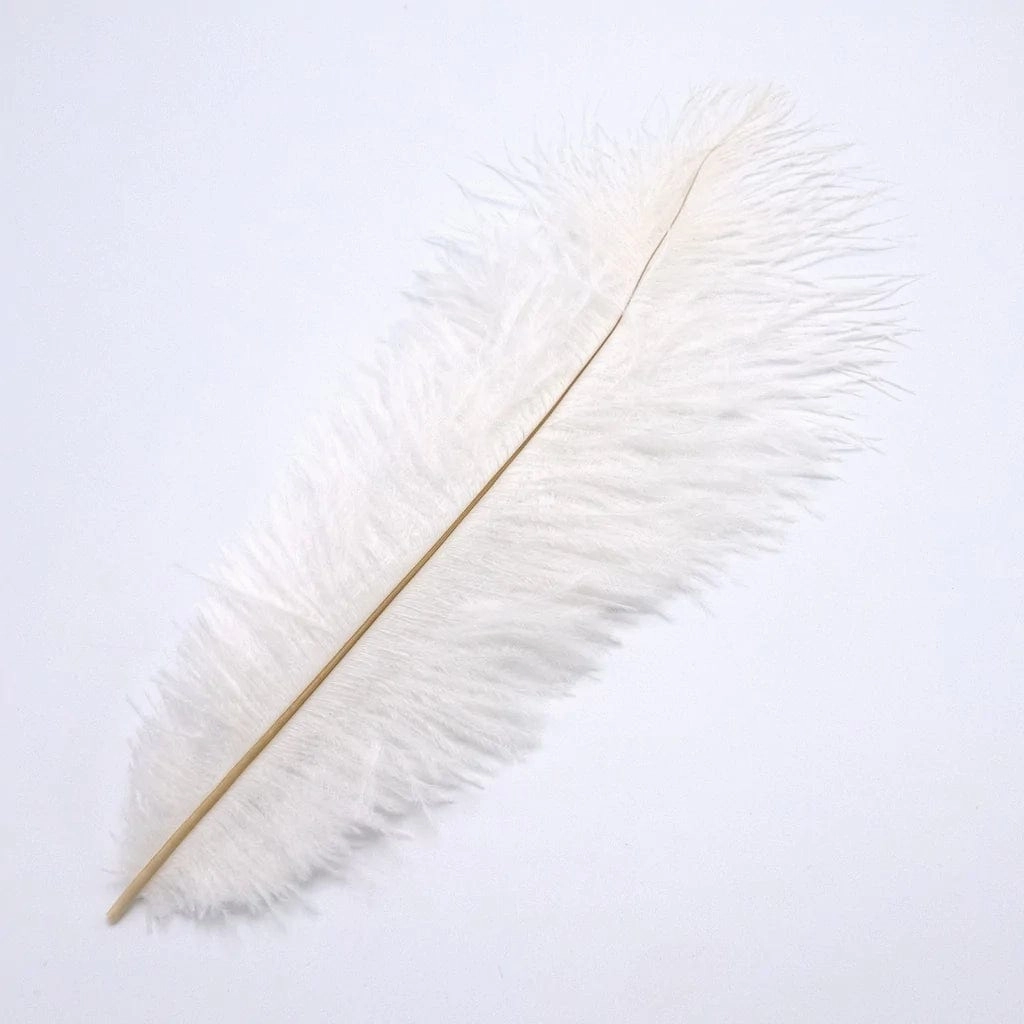 Ostrich Plume