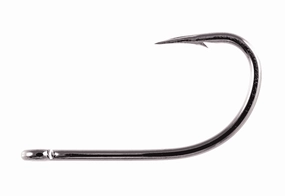 Owner Aki Hook