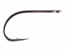 Owner Aki Hooks