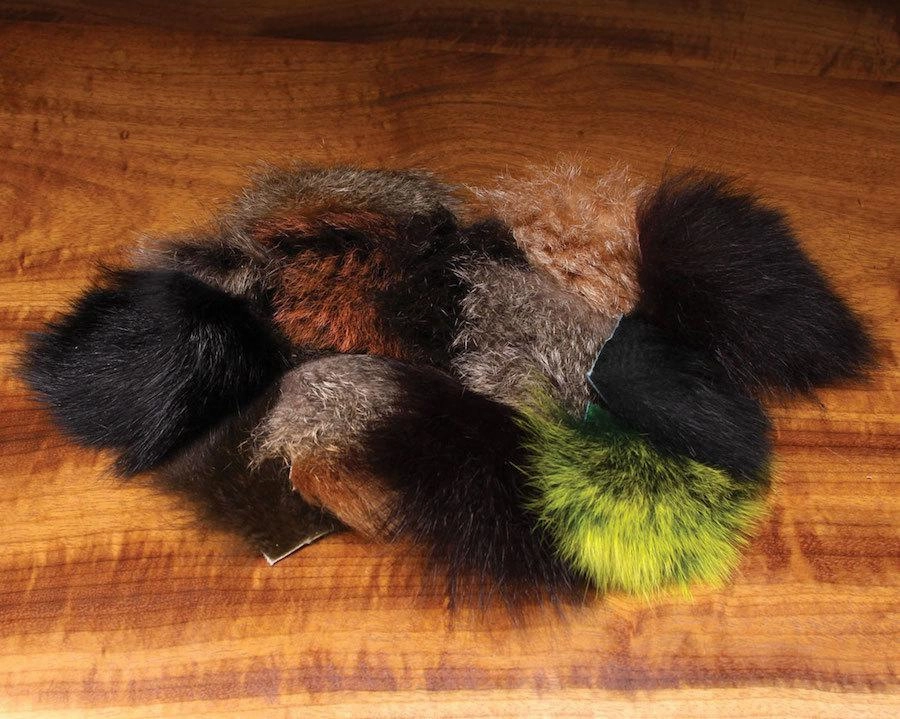 Ozzie Possum