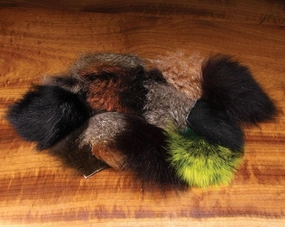 Ozzie Possum