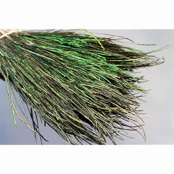 Peacock Herl 5-7"