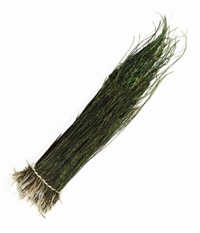 Peacock Herl Strung - Veniard