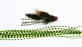 Perfectly Barred Sili Legs