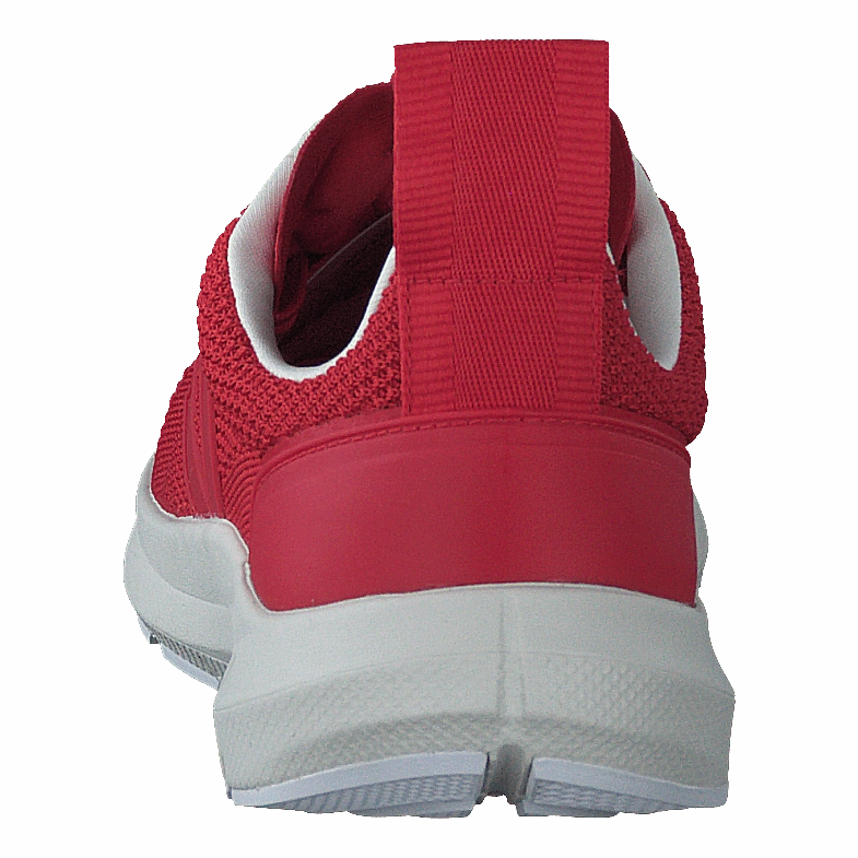 Odor Control Cushioned Insoles Performance Runner V-Knit Rick Carnelian