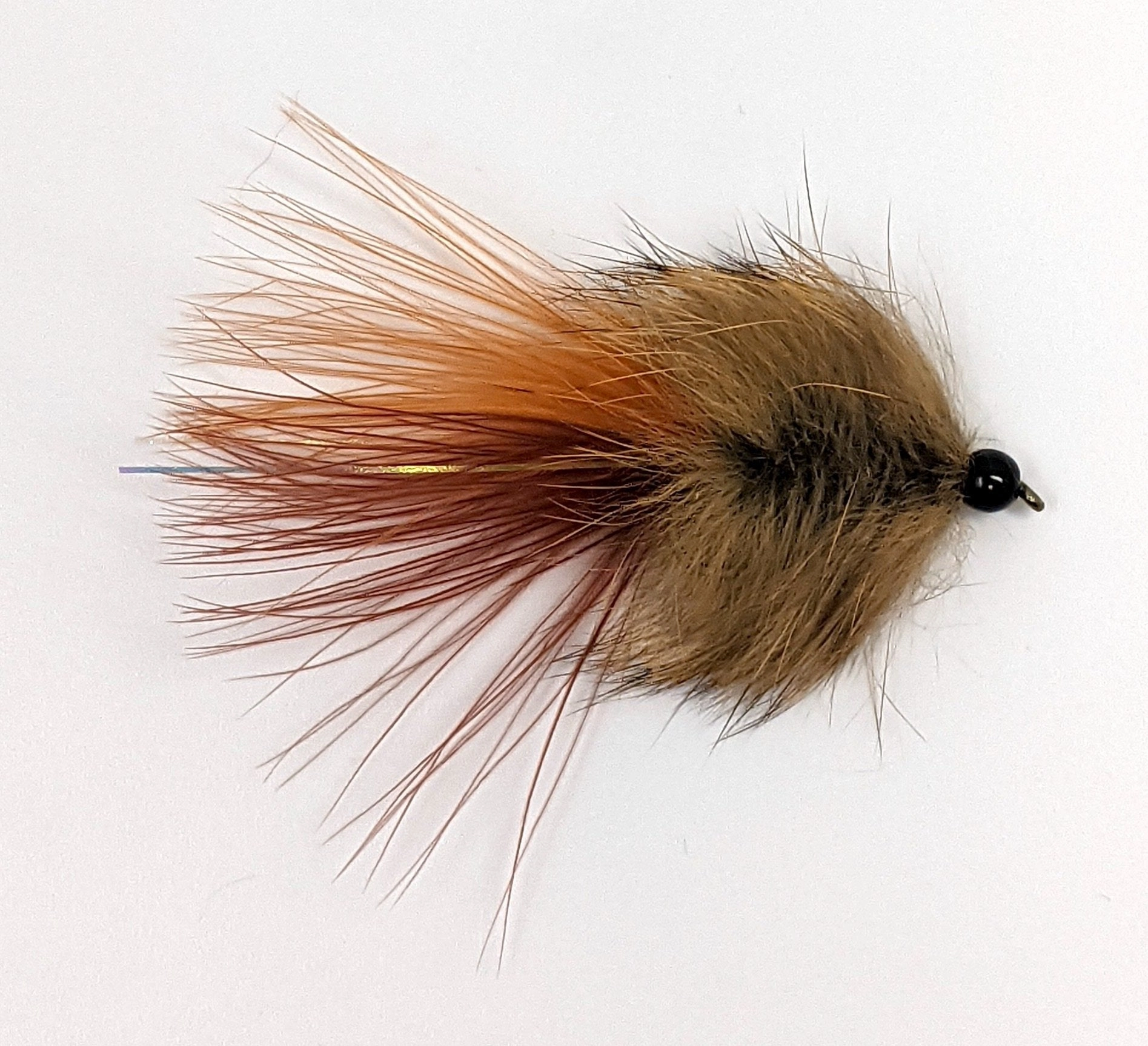 Pig Pen Leech