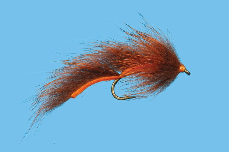 Pine Squirrel Leech