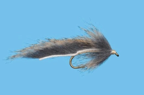 Pine Squirrel Leech