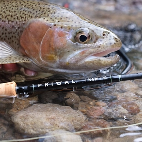 Primal RAW CCC fly rod