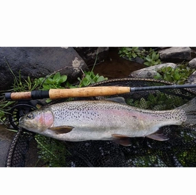 Primal Zone Nymph Rod