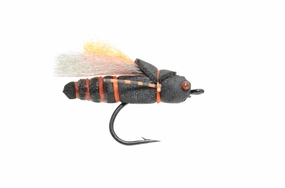 Project Cicada size 4