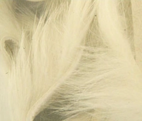 Rabbit Strips