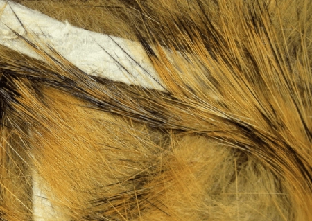 Rabbit Strips
