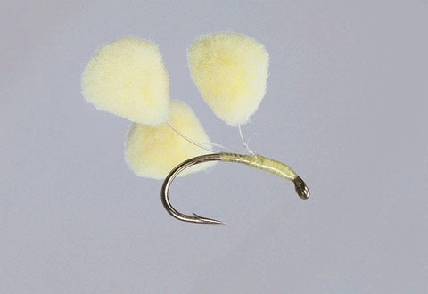 Rainy's Carp Snack