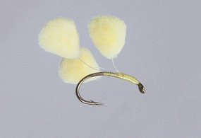 Rainy's Carp Snack