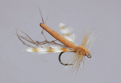 Rainy's Daddy Long Legs
