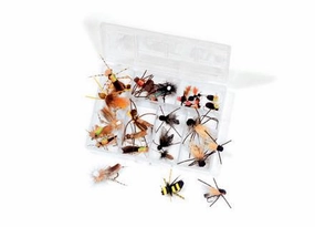 Rainy's Favorite Terrestrial Assortment (30 Pack)