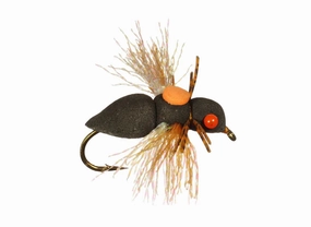 Rainy's Periodic Cicada