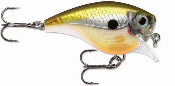 Rapala BX Brat 03 Square Bill Crankbait