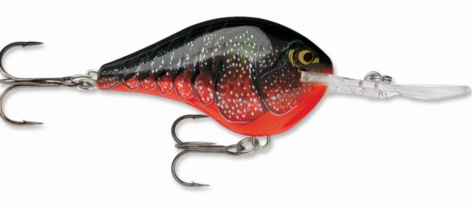 Rapala DT Series Crankbait DT10
