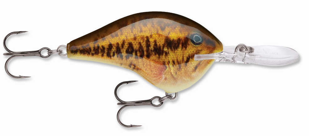 Rapala DT Series Crankbait DT10