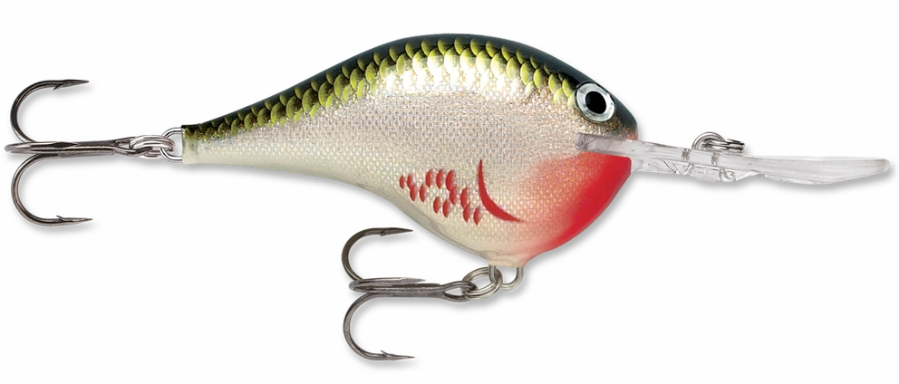 Rapala DT Series Crankbait DT10