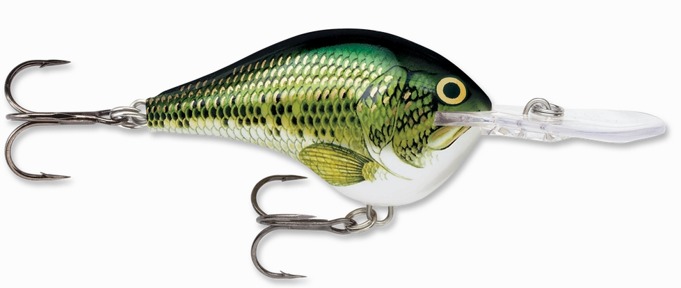 Rapala DT Series Crankbait DT10