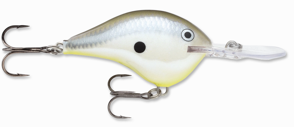 Rapala DT Series Crankbait DT10
