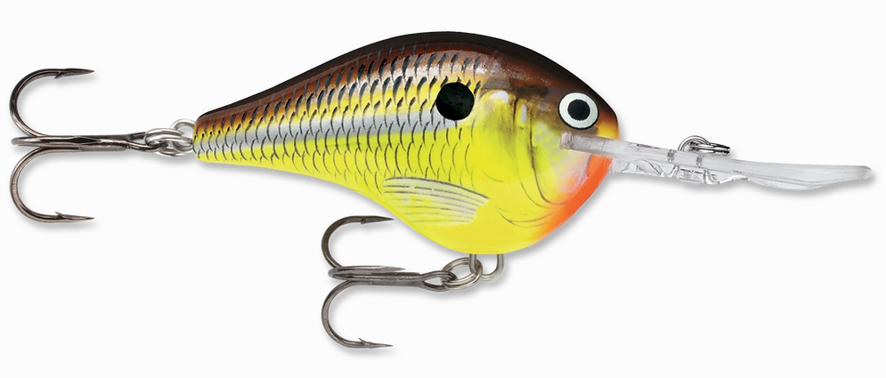 Rapala DT Series Crankbait DT10