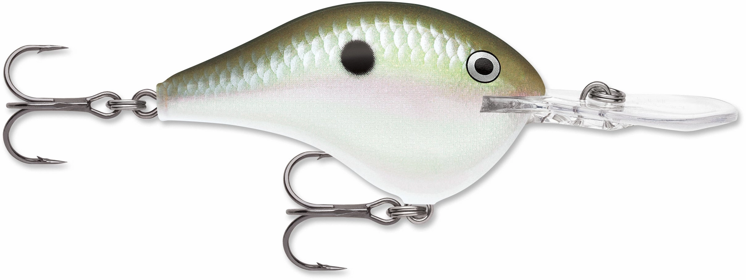 Rapala DT Series Crankbait DT10