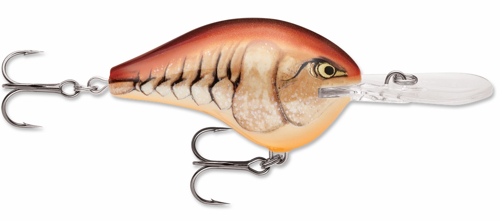 Rapala DT Series Crankbait DT10