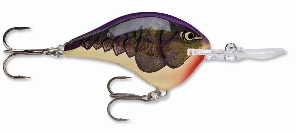 Rapala DT Series Crankbait DT10