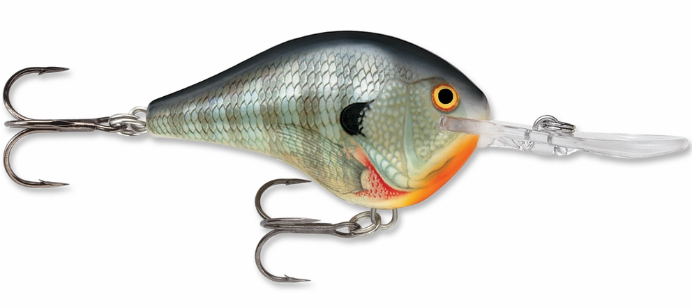 Rapala DT Series Crankbait DT10