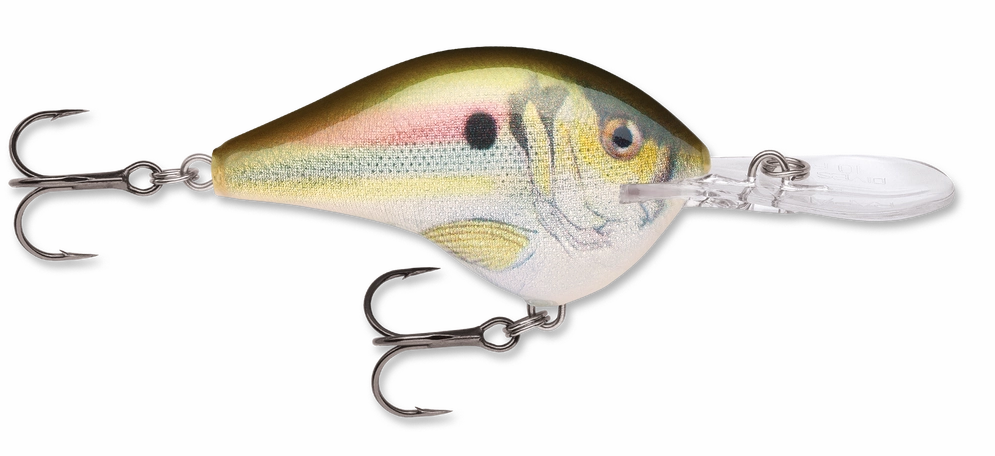 Rapala DT Series Crankbait DT10