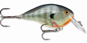 Rapala DT Series Crankbait DT4